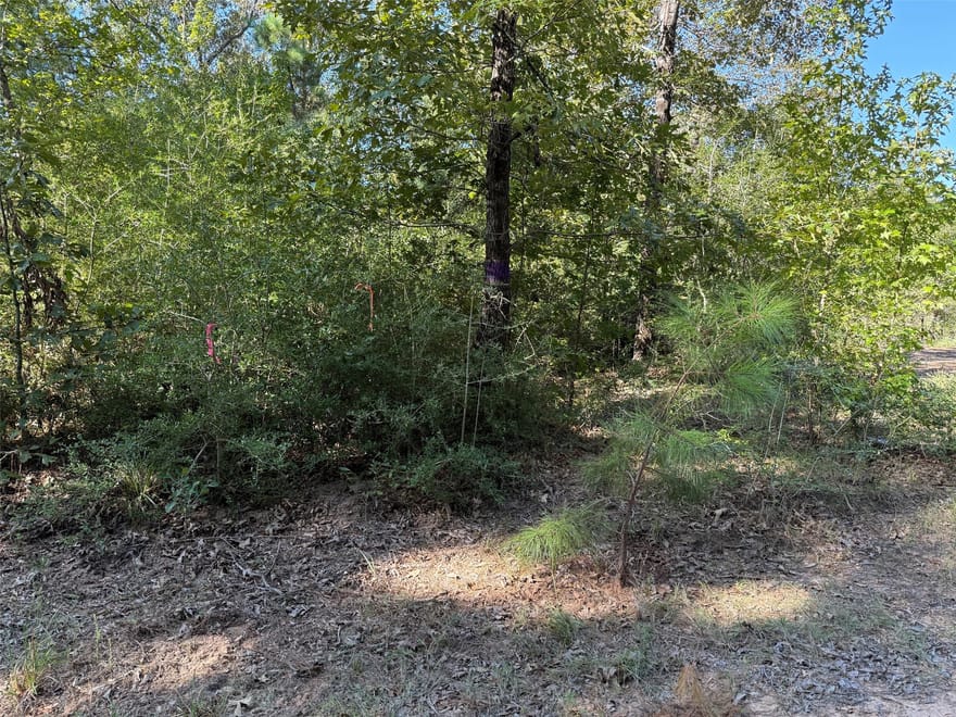 TBD Cr 3385, Lovelady, Texas