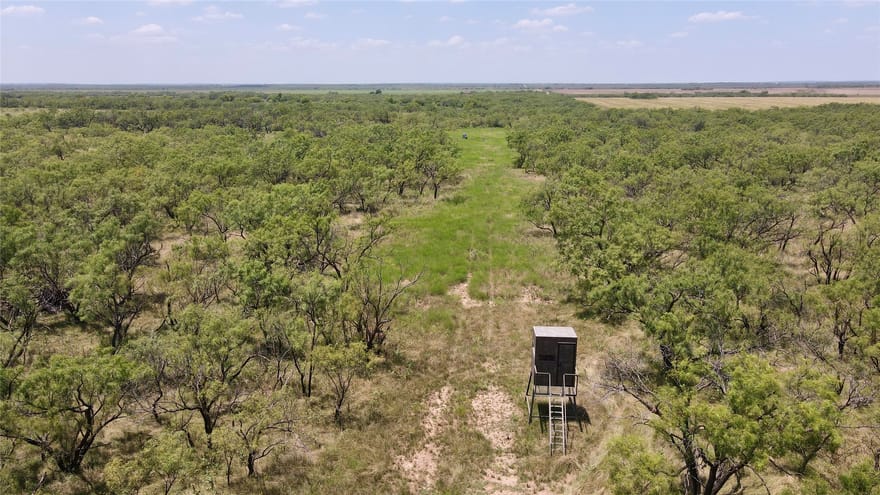 County Road 338, Gouldbusk, Texas