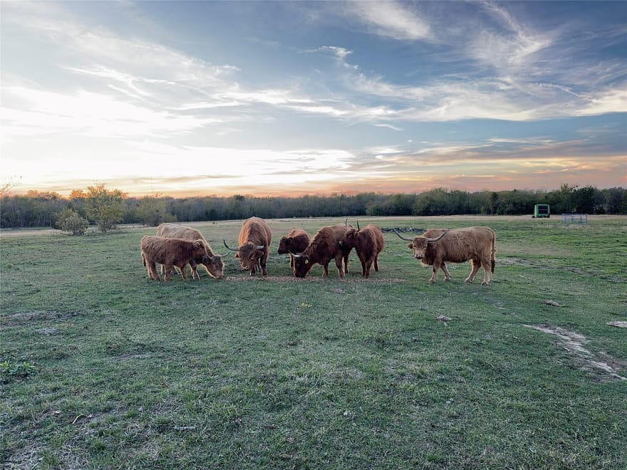 4081 Fm 2736, Campbell, Texas