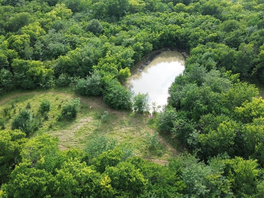 4081 Fm 2736, Campbell, Texas