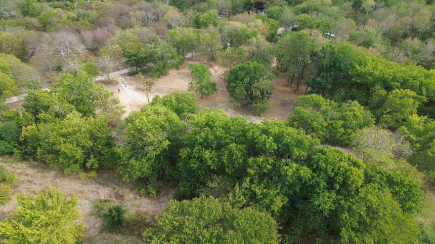 111 Park Street, Ladonia, Texas