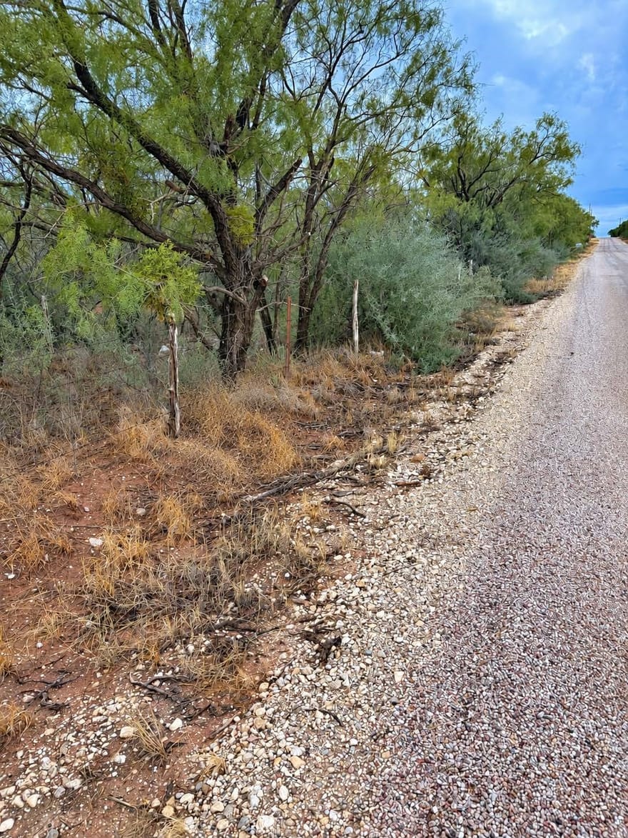 TBD Cr 107, Trent, Texas