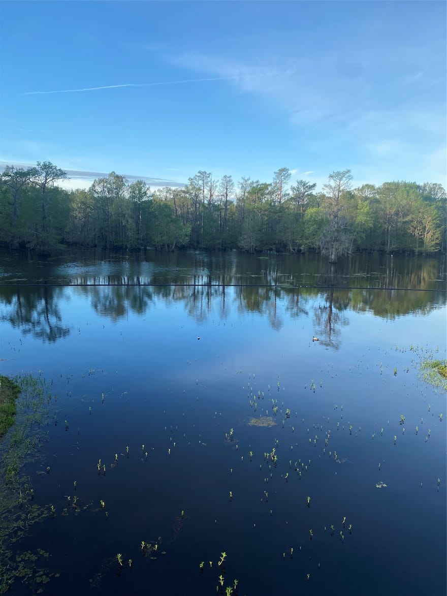 350 Brushy Creek Road, Sibley, Louisiana