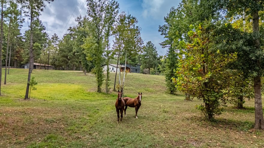 6411 Fm 23, Rusk, Texas