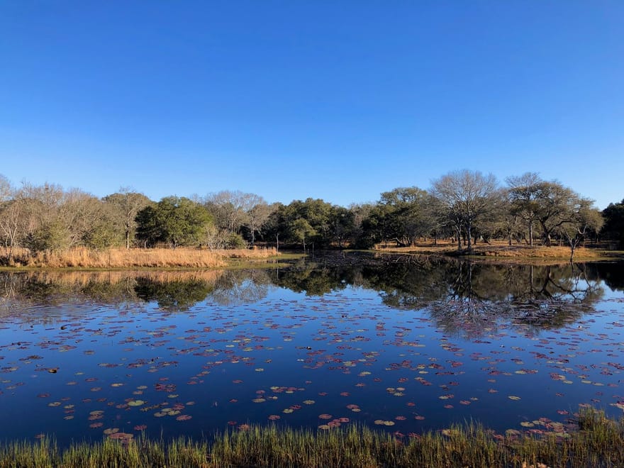 1141 Reeves Road, Garwood, Texas