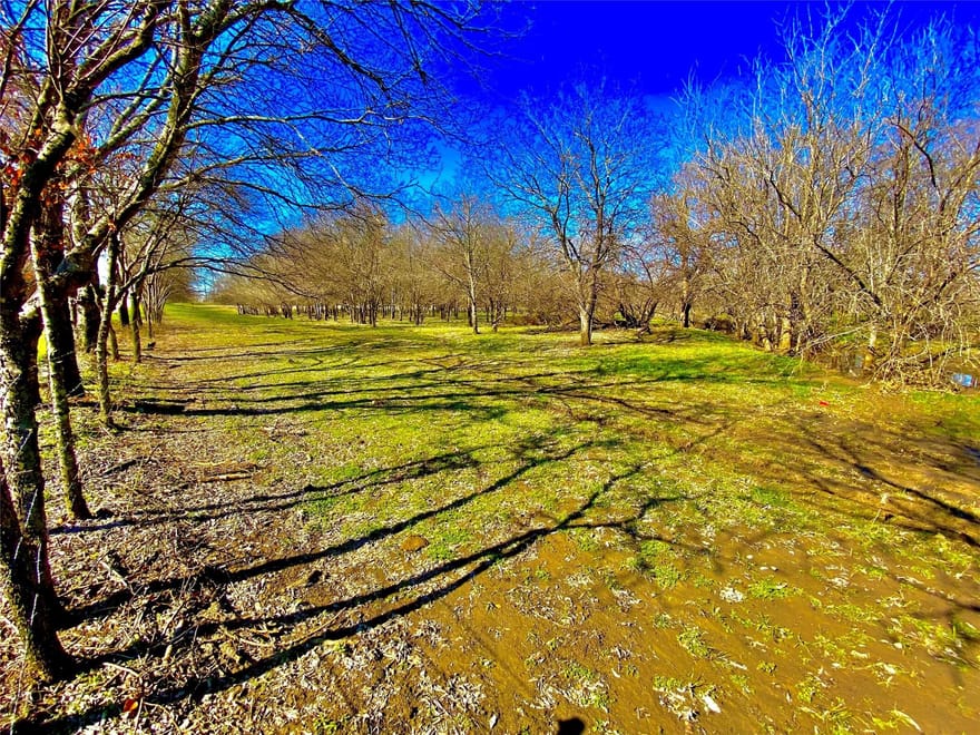9507 County Road 513, Alvarado, Texas