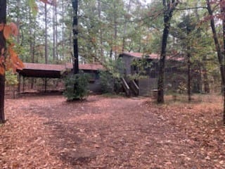 1042 Winding Trail, Holly Lake Ranch, Texas