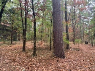 1042 Winding Trail, Holly Lake Ranch, Texas