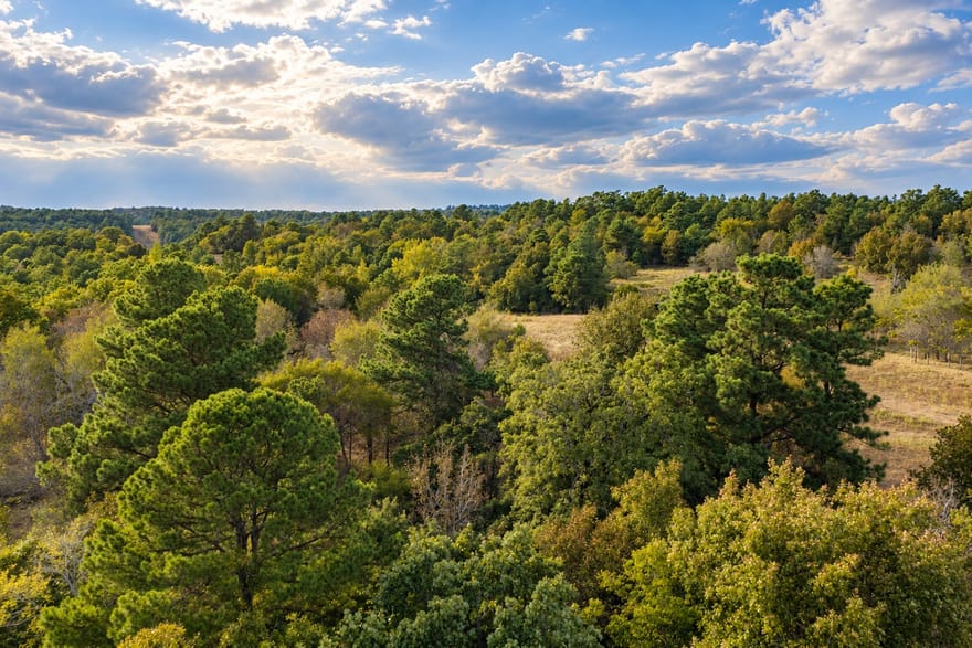Off Of County Road 448, Palestine, Texas