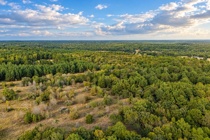 Off Of County Road 448, Palestine, Texas