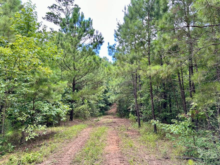 Cr 2065, Crockett, Texas
