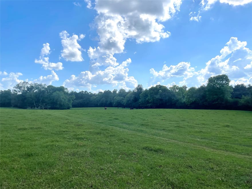 1135 Cr 419, Nacogdoches, Texas