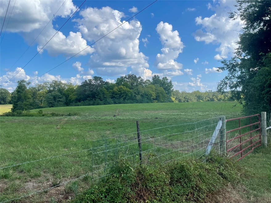 1135 Cr 419, Nacogdoches, Texas