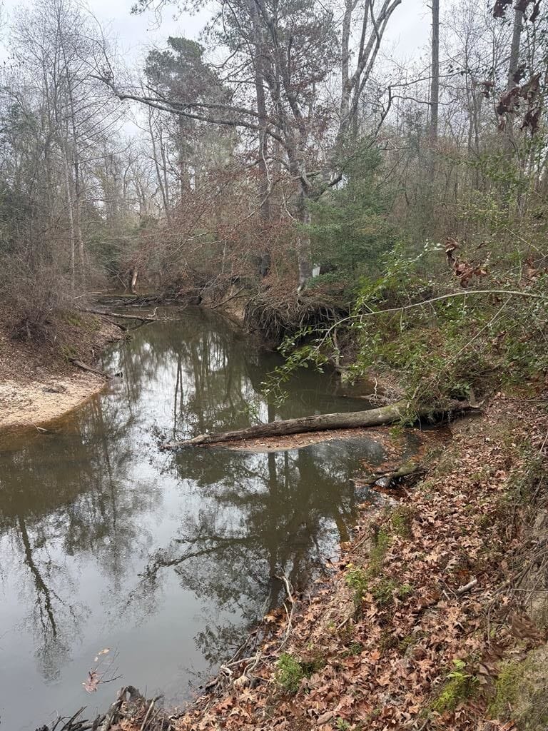 371 County Road 4240, Kirbyville, Texas