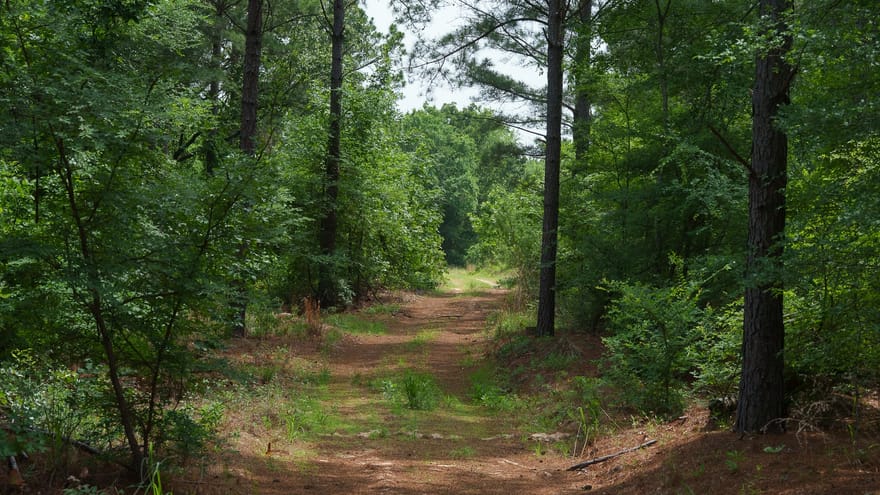 TBD State Highway 64, Ben Wheeler, Texas