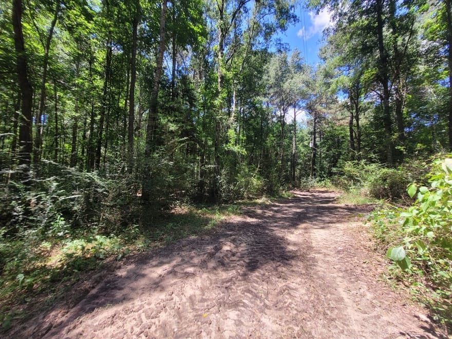 1562 Fm 1013, Kirbyville, Texas