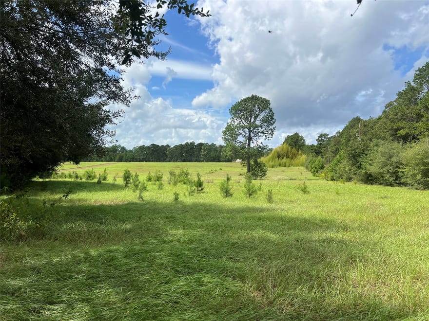 TBD Private Road 8309, Woodville, Texas