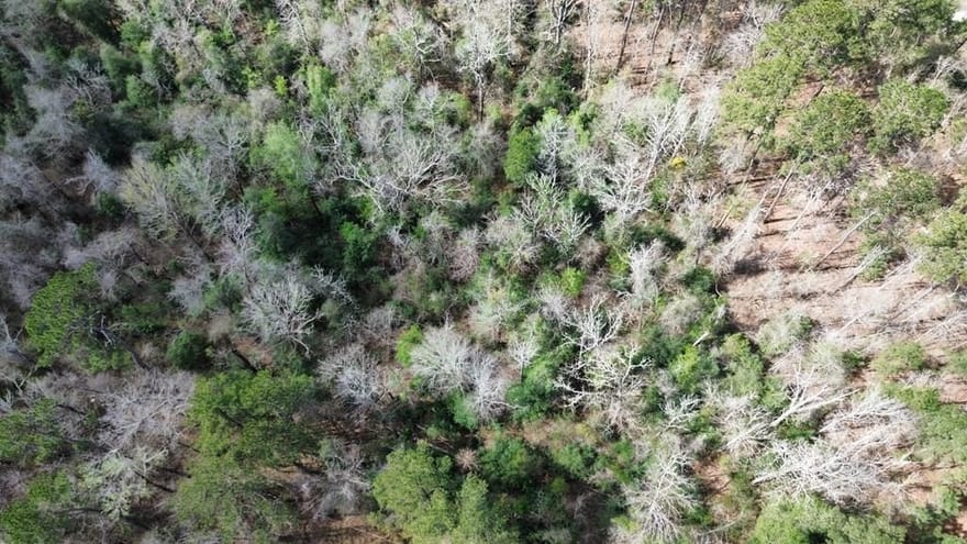 16.97AC Tr Cr 4081, Bon Wier, Texas