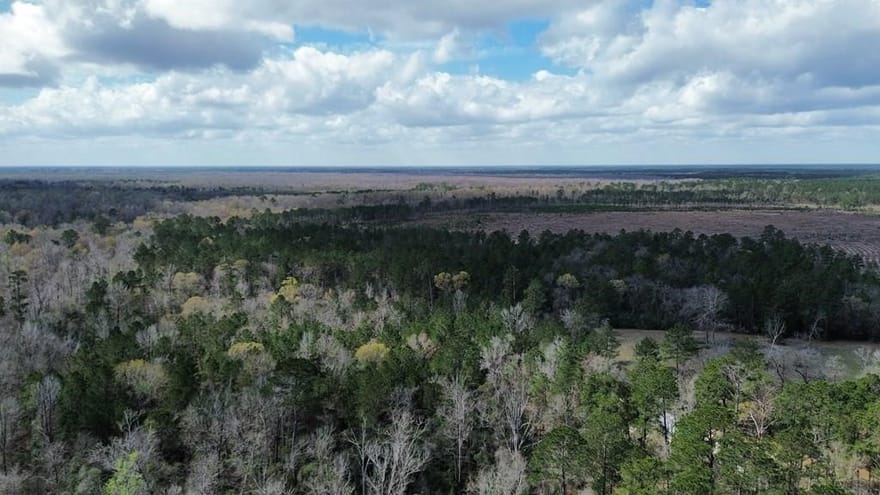 16.97AC Tr Cr 4081, Bon Wier, Texas