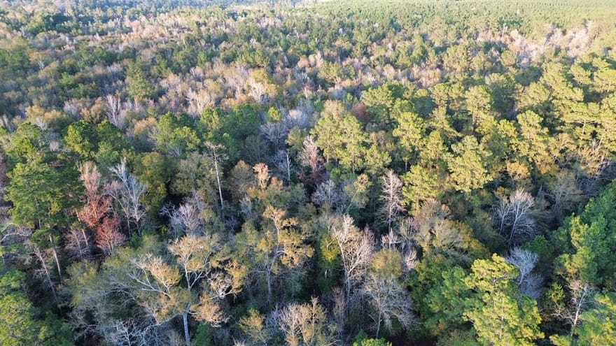 500 Pr 8170, Kirbyville, Texas
