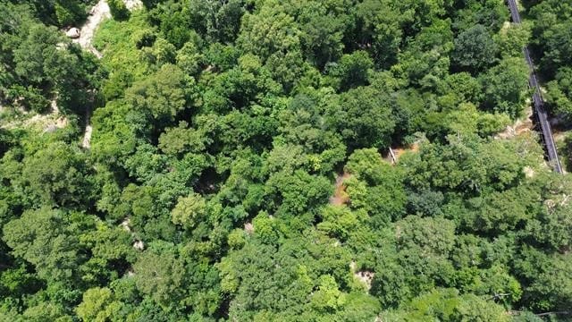 367 Cr 4240, Bon Wier, Texas
