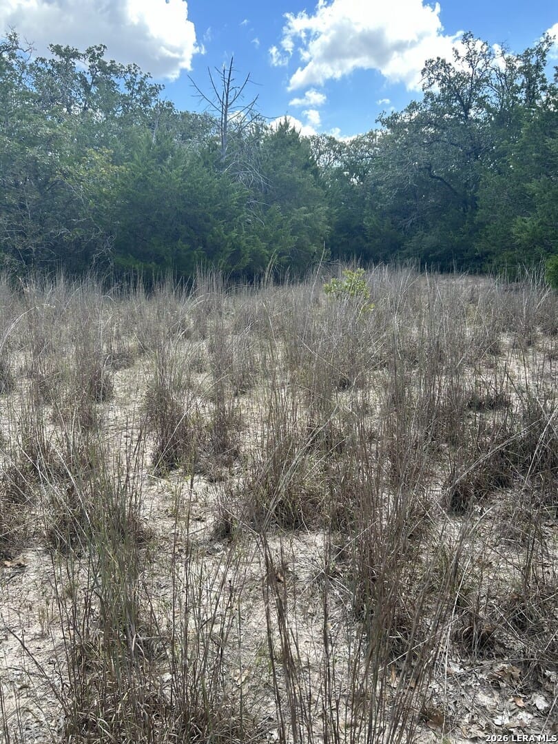 207 Charcoal Company Lane, Muldoon, Texas
