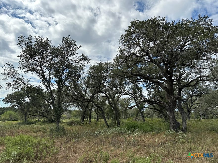 Tract 4 Regan, Victoria, Texas