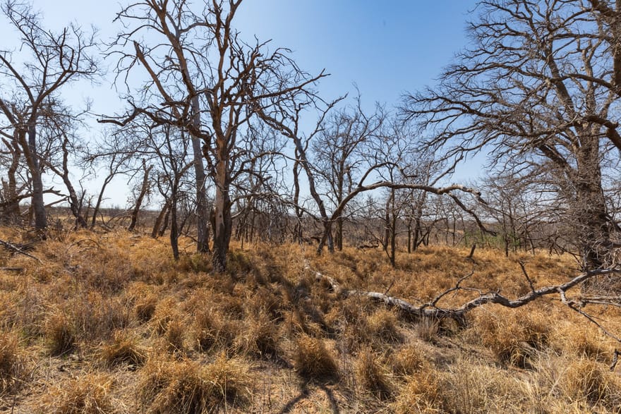 TBD Cr 238, Post, Texas
