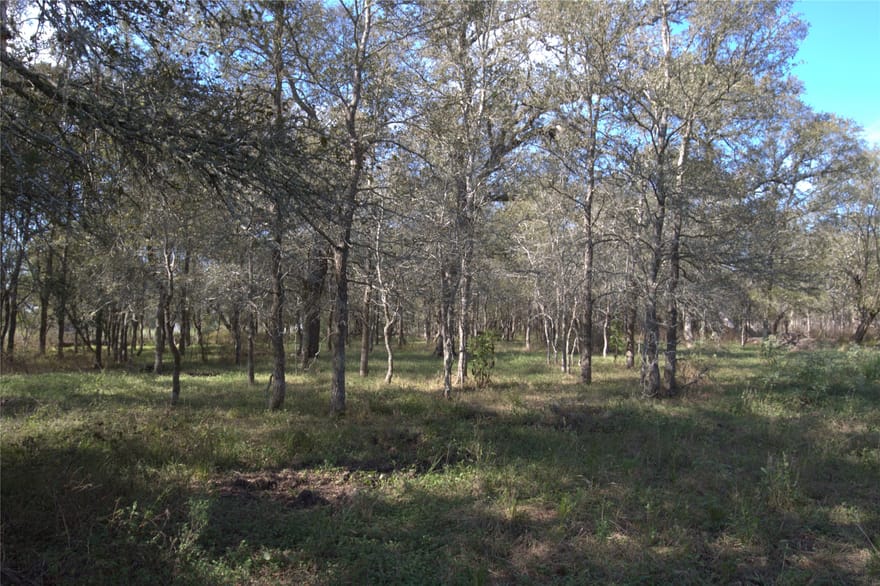 Kickler Road, Fayetteville, Texas