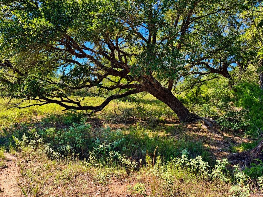 TBD County Road 132, Hallettsville, Texas