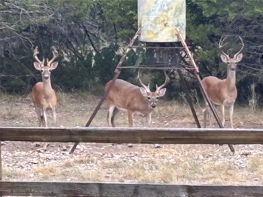 TBD Fm 3023, Goldthwaite, Texas
