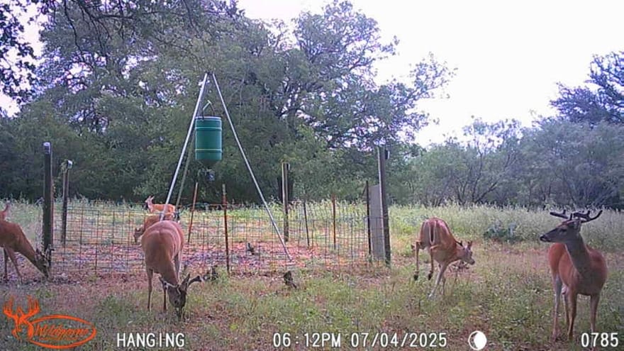 TBD Fm 3023, Goldthwaite, Texas