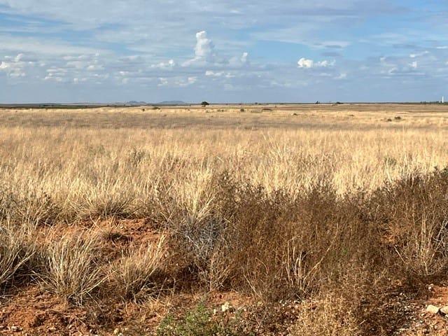 TBD County Rd 412, Roby, Texas