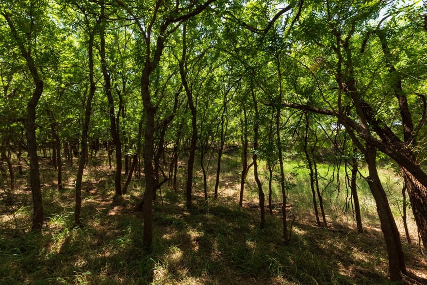 9000 Private Road 496, Hawley, Texas