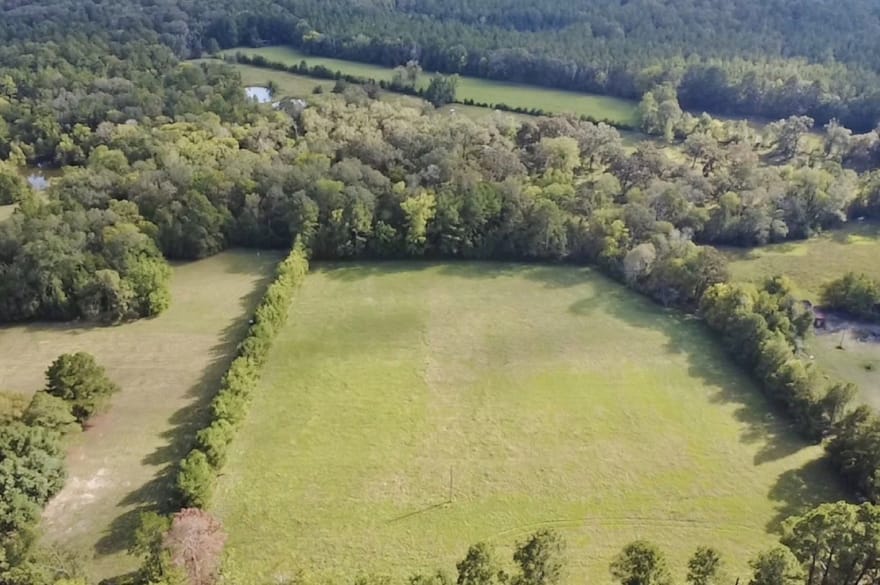 TBD County Road 3550, Woodville, Texas