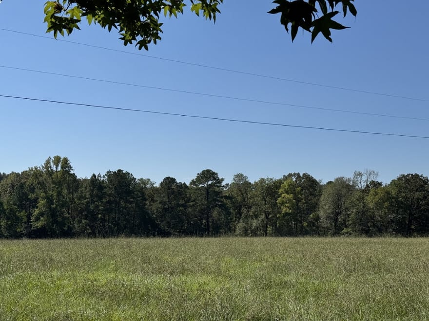 TBD County Road 3550, Woodville, Texas