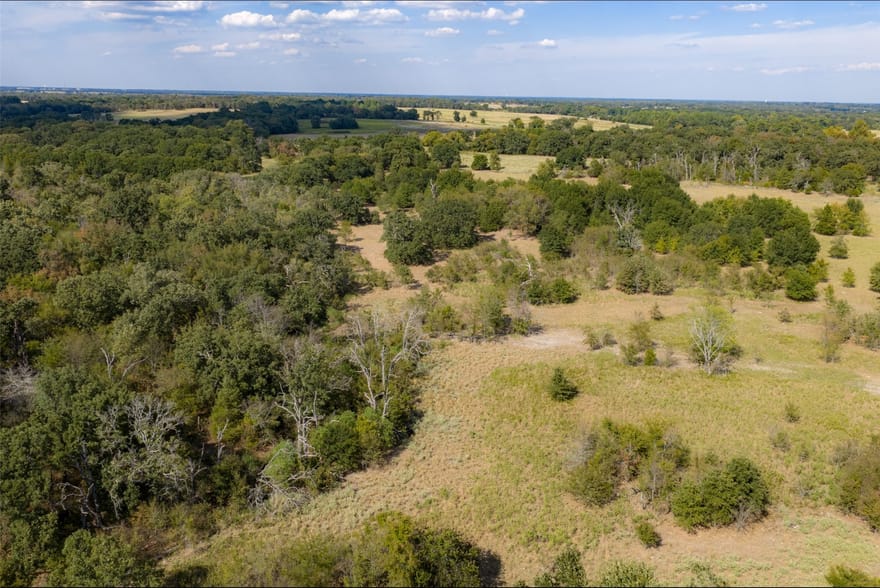 NW Vz County Road 3409, Wills Point, Texas