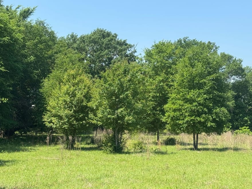 S Us-79 Highway, Palestine, Texas