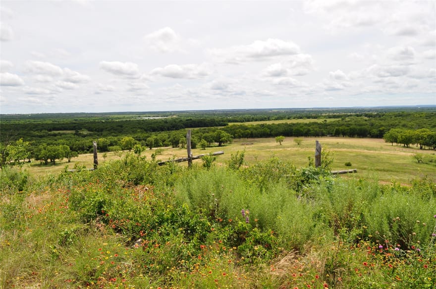 TBD C Two Bush Road, Perrin, Texas