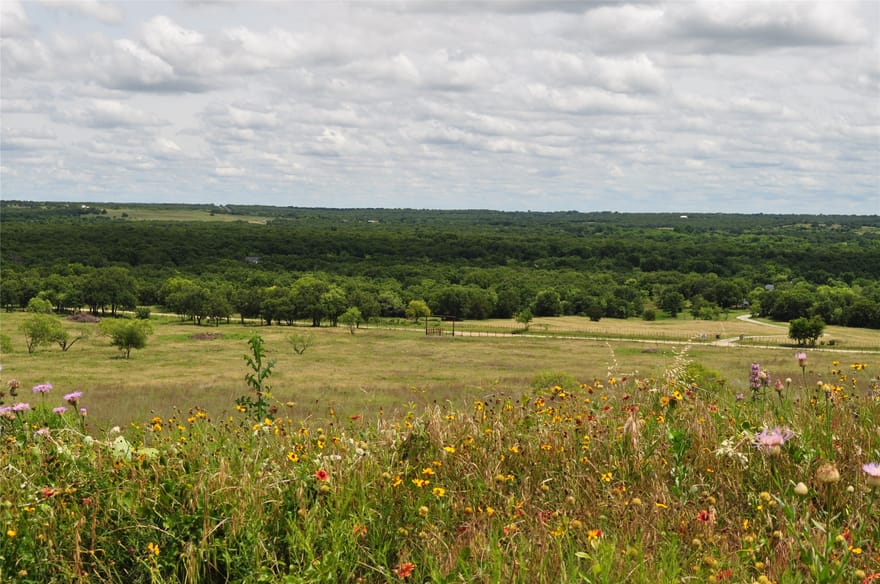 TBD C Two Bush Road, Perrin, Texas