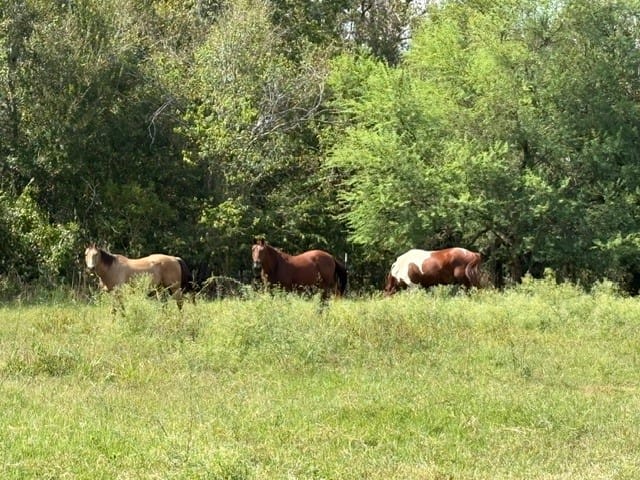 38954 Donigan Road, Brookshire, Texas