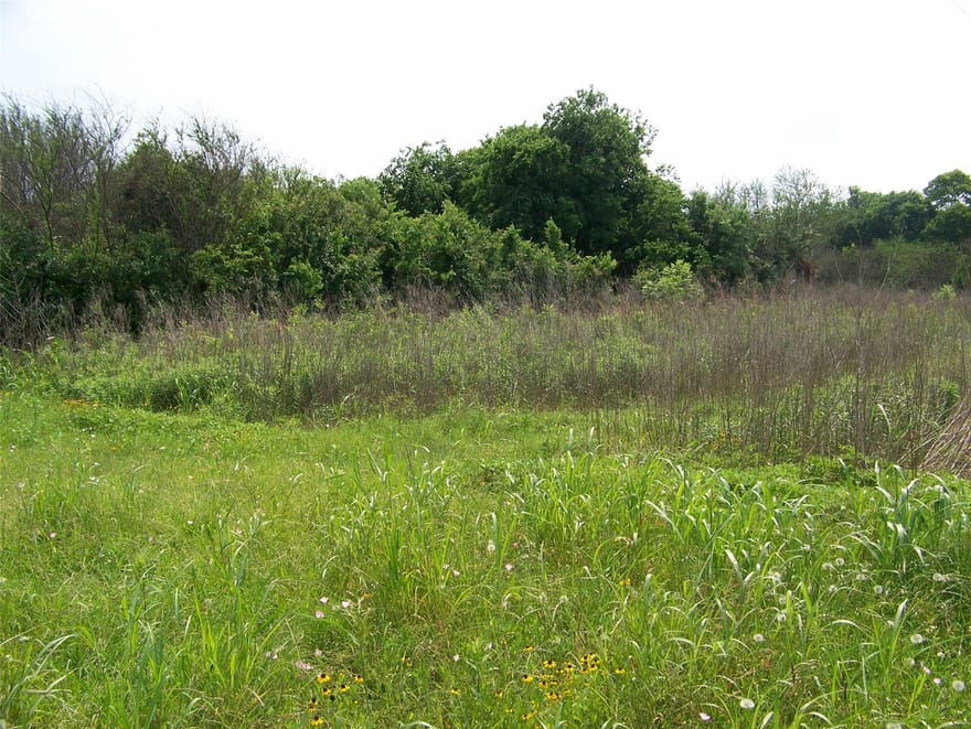 38954 Donigan Road, Brookshire, Texas