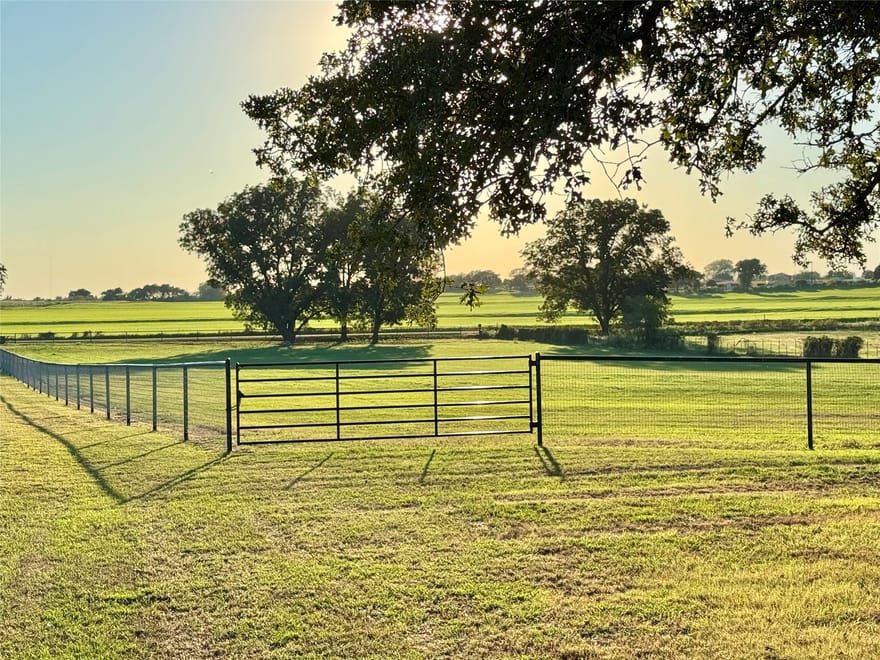 6101 Wild Cat Knob Road, Tolar, Texas