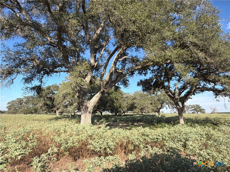 1665 Garrett Road, Yoakum, Texas