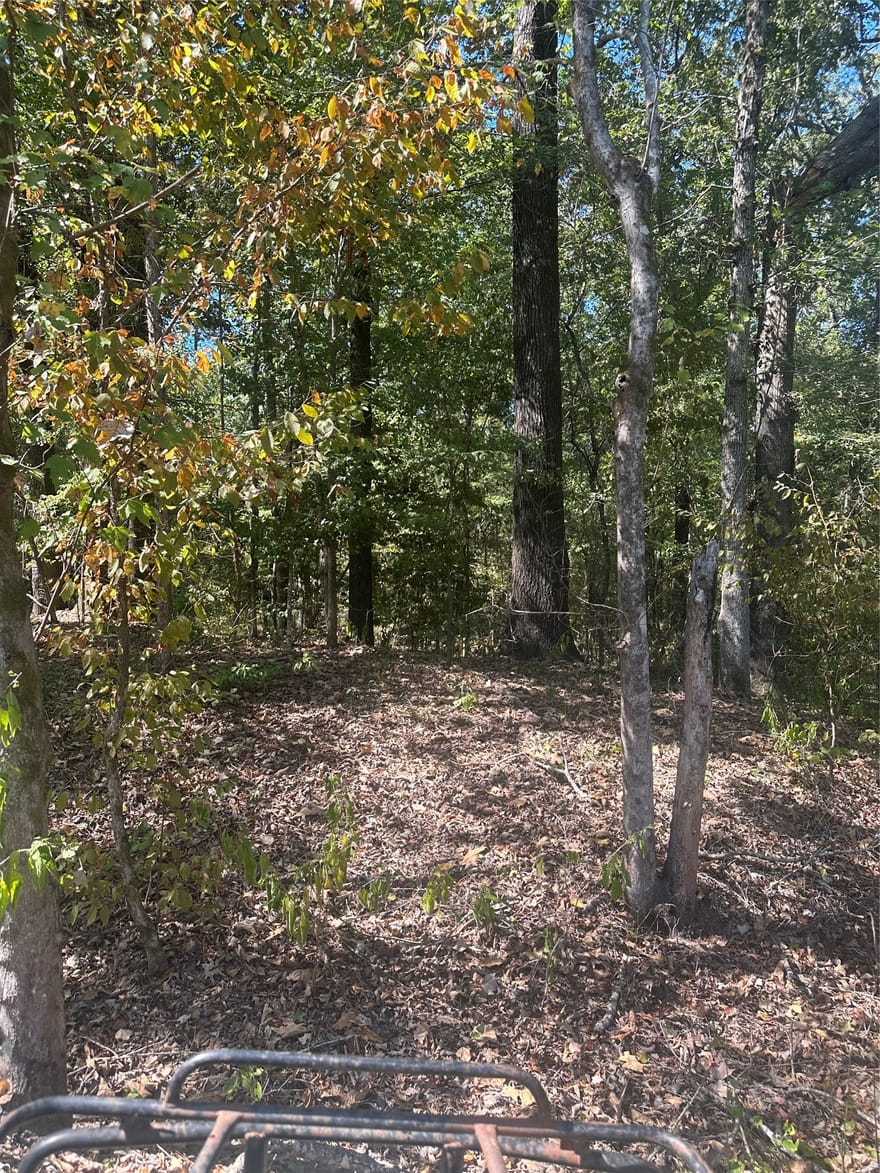 394 Denmon Road, Sarepta, Louisiana