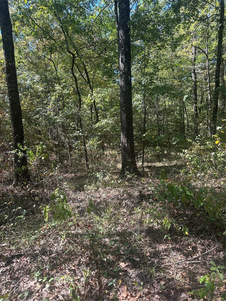 394 Denmon Road, Sarepta, Louisiana