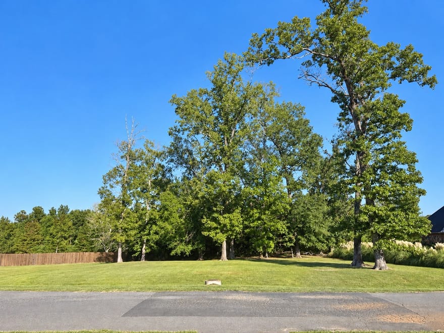 1119 Bear Creek, Haughton, Louisiana