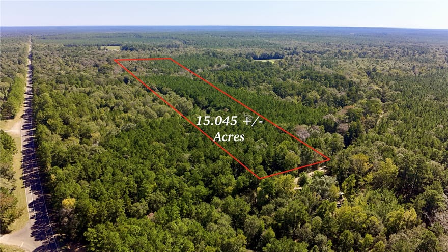 TBD County Road 1058, Wiergate, Texas