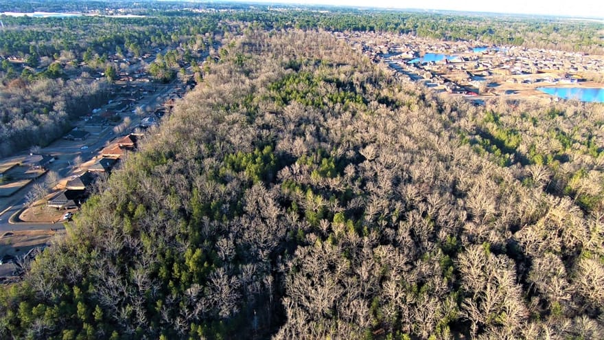 Williamson Way, Shreveport, Louisiana