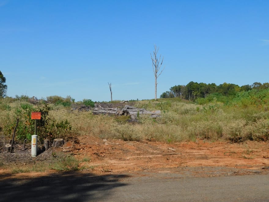 Jackie Byrd Road, Plain Dealing, Louisiana